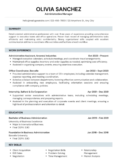 Professional CV Sample 62